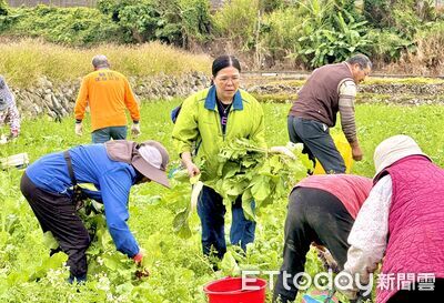 假日下田拔蘿蔔　關山月眉里邀里民與社福團體共享農村樂