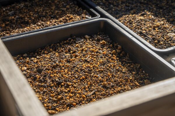 ▲▼KIRISHIMA GREENSHIP icoia。（圖／スターバックスコーヒージャパン株式会社提供）