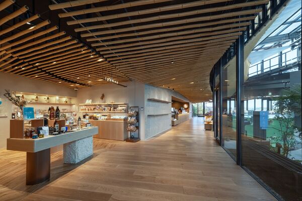 ▲▼KIRISHIMA GREENSHIP icoia。（圖／スターバックスコーヒージャパン株式会社提供）