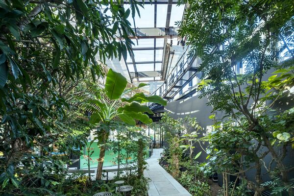 ▲▼KIRISHIMA GREENSHIP icoia。（圖／スターバックスコーヒージャパン株式会社提供）