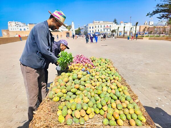 ▲▼索維拉Essaouira。（圖／部落客兔兒毛毛姊妹花授權提供）