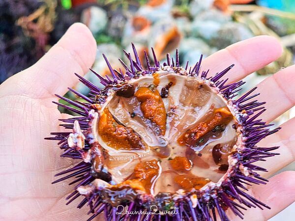 ▲▼索維拉Essaouira。（圖／部落客兔兒毛毛姊妹花授權提供）