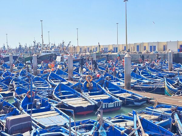 ▲▼索維拉Essaouira。（圖／部落客兔兒毛毛姊妹花授權提供）