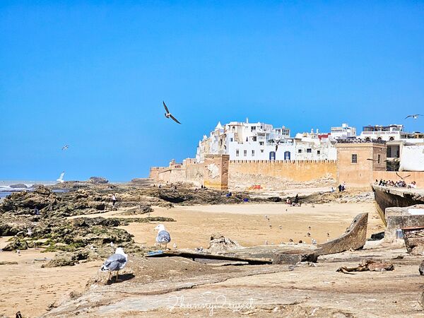 ▲▼索維拉Essaouira。（圖／部落客兔兒毛毛姊妹花授權提供）