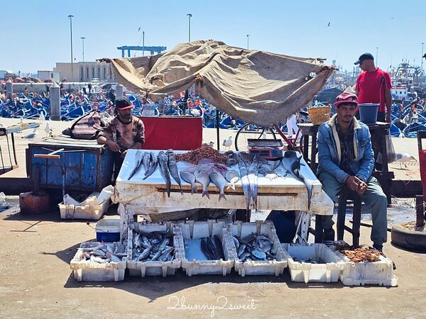 ▲▼索維拉Essaouira。（圖／部落客兔兒毛毛姊妹花授權提供）