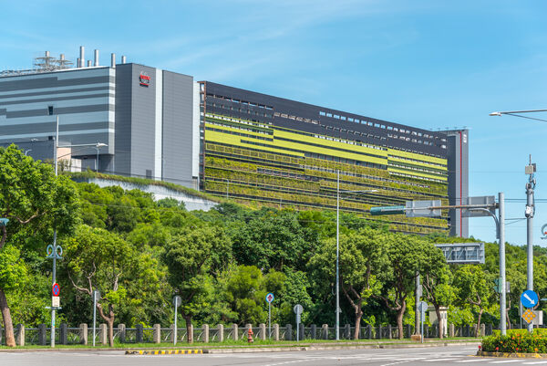 ▲▼ 勝美向上。（圖／記者陳筱惠攝）