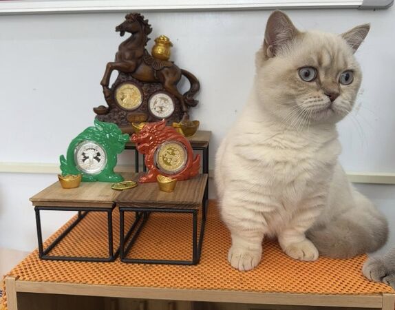 ▲花壇鄉學前路一家彩券行開出百萬獎金。（圖／民眾提供）