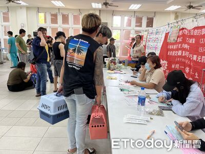 責任飼養！毛小孩絕育數創3年新高　高雄動保處喊：飼主應盡責任