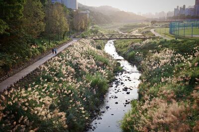 春節騎遊淡水河　「恐龍樂園、應景花海」一次玩
