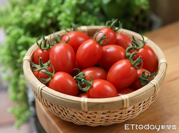 ▲▼  強颱一夜倒、兩月重建好災後工程團隊助攻青農升級強固環控溫室　穩定種出頂級玉女番茄   。（圖／記者翁伊森翻攝）