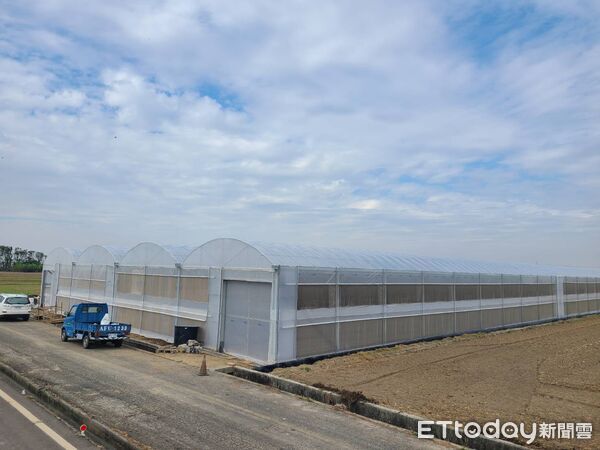 ▲▼  強颱一夜倒、兩月重建好災後工程團隊助攻青農升級強固環控溫室　穩定種出頂級玉女番茄   。（圖／記者翁伊森翻攝）