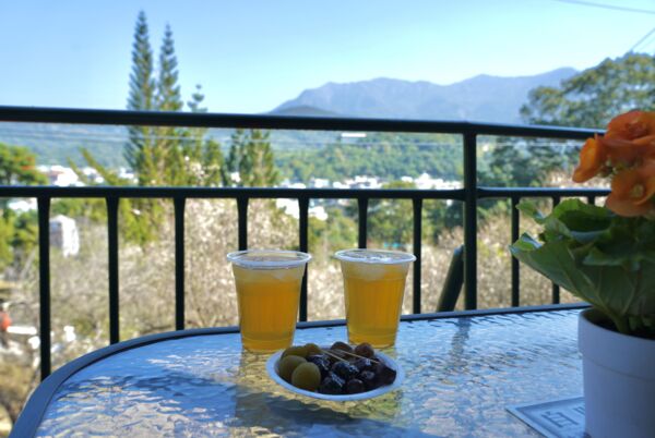 ▲▼嘉義正宗牌蜜餞。（圖／嘉義縣政府提供）