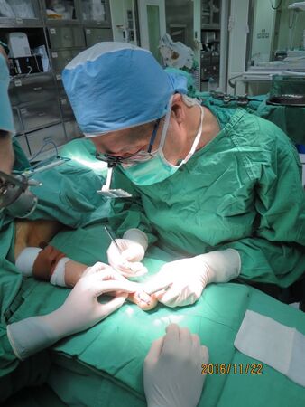 ▲▼八仙塵暴救治靈魂人物、林口長庚燒燙傷中心前主任莊秀樹。（圖／長庚醫院提供）