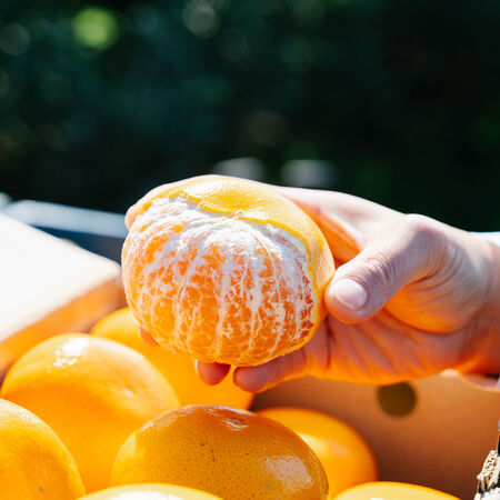 ▲無印良品首度開賣年菜。（圖／品牌提供）