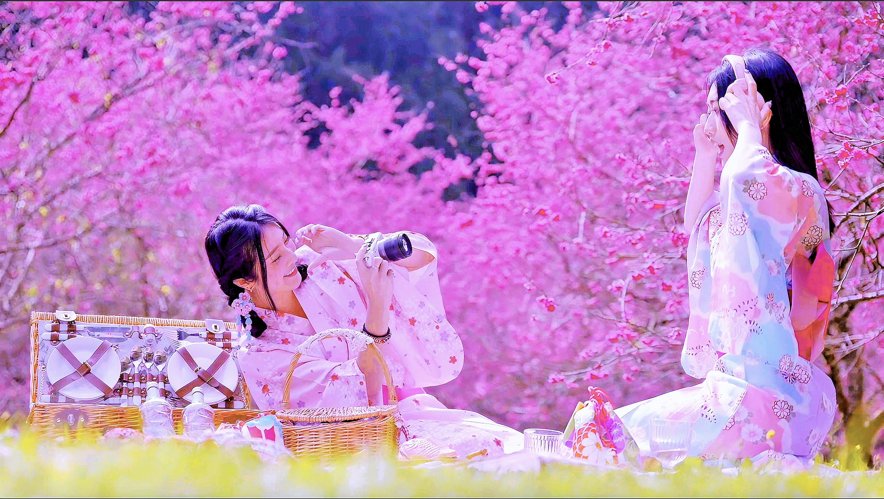 ▲▼九族文化村,春節,過年,櫻花,夜櫻,火舞。（圖／業者提供）