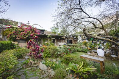 遠眺玉山群峰！南投望鄉部落隱藏版咖啡屋　喝小米酒聽老闆講故事