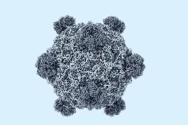 ▲▼人造生命大突破！　科學家用AI首度做出「新病毒」。（圖／翻攝Genyro）