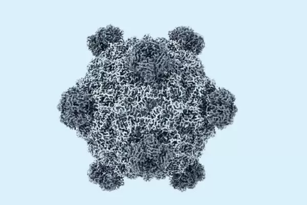 ▲▼人造生命大突破！　科學家用AI首度做出「新病毒」。（圖／翻攝Genyro）