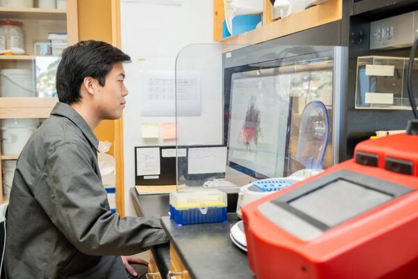 ▲▼人造生命大突破！　科學家用AI首度做出「新病毒」。（圖／翻攝Genyro）