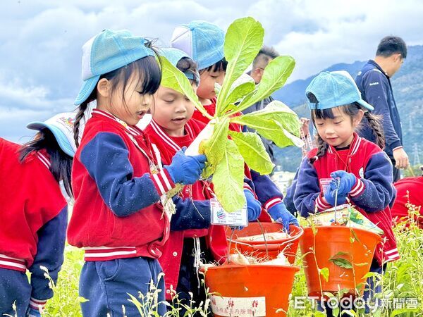 ▲台東關山幸福蘿蔔季熱鬧登場。（圖／記者楊晨東翻攝）