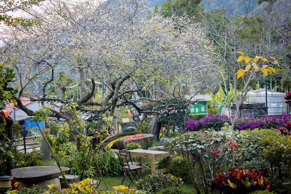 ▲▼古迷思咖啡屋。（圖／部落客黑皮的旅遊筆記授權提供）