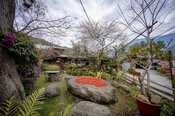 ▲▼古迷思咖啡屋。（圖／部落客黑皮的旅遊筆記授權提供）