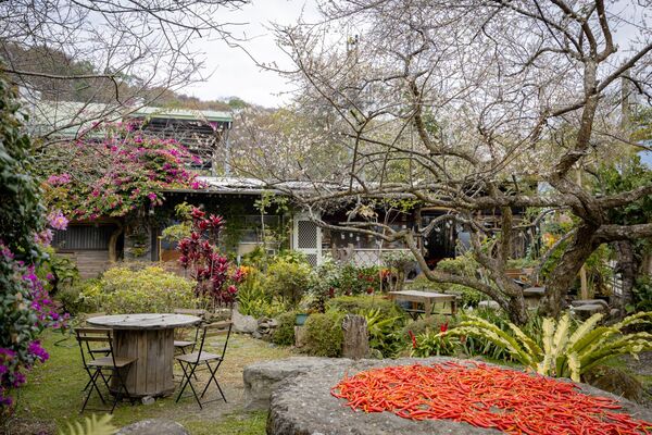 ▲▼古迷思咖啡屋。（圖／部落客黑皮的旅遊筆記授權提供）