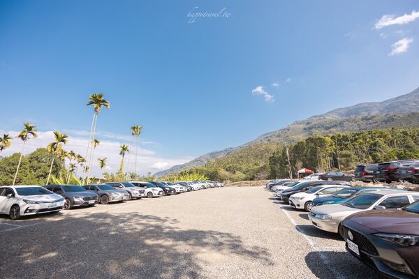 ▲▼阿本農場櫻花園。（圖／部落客黑皮的旅遊筆記授權提供）