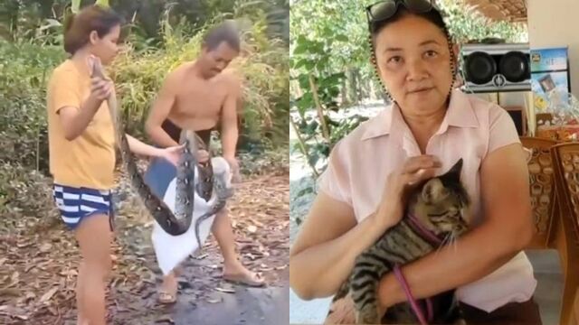 巨蟒緊纏愛貓!她不顧5月孕肚「徒手一圈圈掰開」 奇蹟搶救活過來
