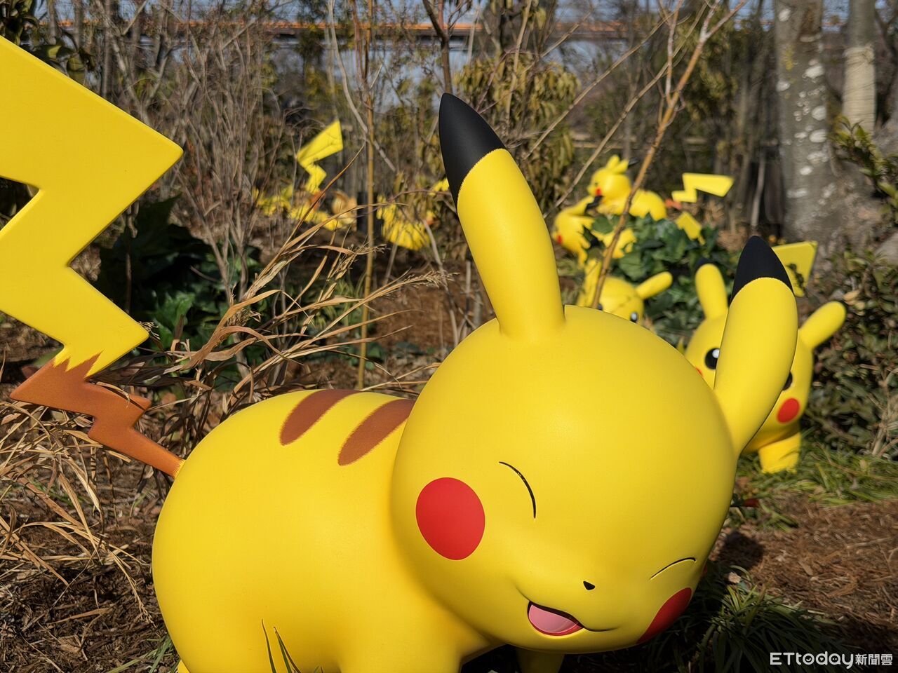 ▲▼       寶可樂園:關都      。（圖／記者蘇晟彥攝）