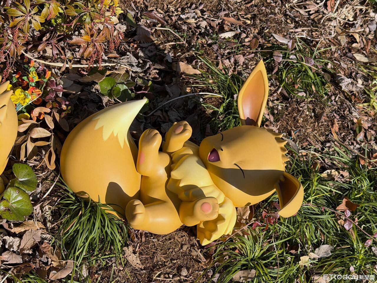 ▲▼       寶可樂園:關都      。（圖／記者蘇晟彥攝）