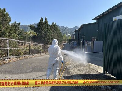 蛋價連3漲「季節性需求」　農業部：禽流感影響不大