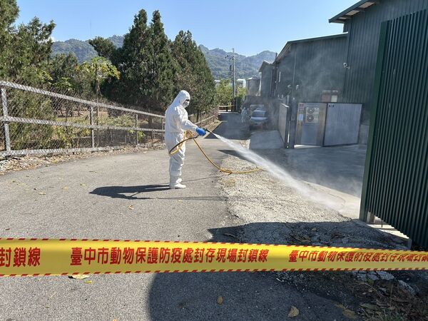 ▲▼豐原蛋雞場出現禽流感個案，台中市府成立前進指揮所、完成消毒撲殺並將依法開罰。（圖／台中市政府提供）