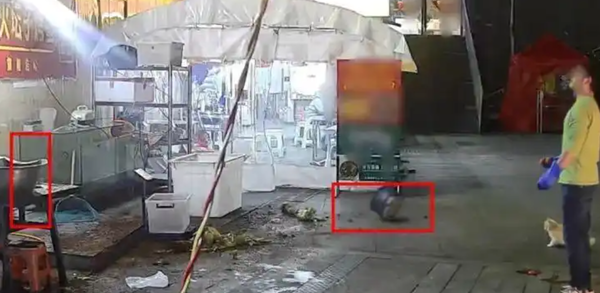 ▲▼  流浪貓救老闆一命           。（圖／翻攝 極目新聞）