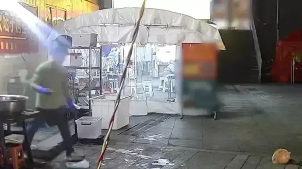 ▲▼  流浪貓救老闆一命           。（圖／翻攝 極目新聞）