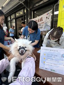 把握機會！嘉義市2026年毛孩健康雙重補助開跑
