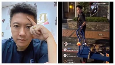 賓賓哥又搞事了！　直播救狗「1個月後」突喊走丟不養了