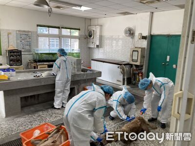 張美阿嬤農場三姊重砲開撕！揭弟毒殺動物真相　轟巨嬰害慘媽