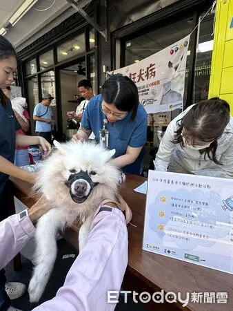 ▲▼   毛孩健康有保障！嘉義市115年犬貓絕育補助＋狂犬病疫苗優惠同步開跑  。（圖／嘉義市政府提供）