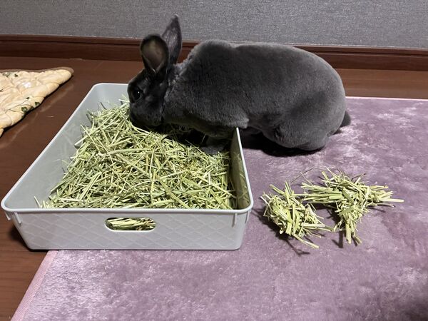 ▲。（圖／翻攝自X／@maymay33191306）