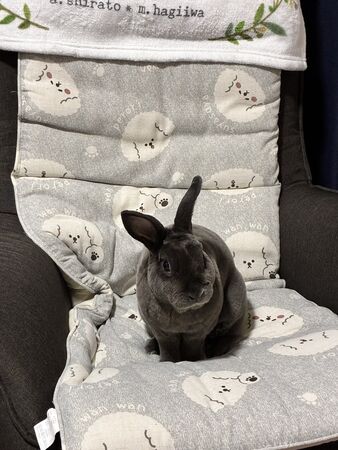 ▲。（圖／翻攝自X／@maymay33191306）