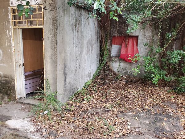 ▲▼             。（圖／記者張雅雲翻攝）