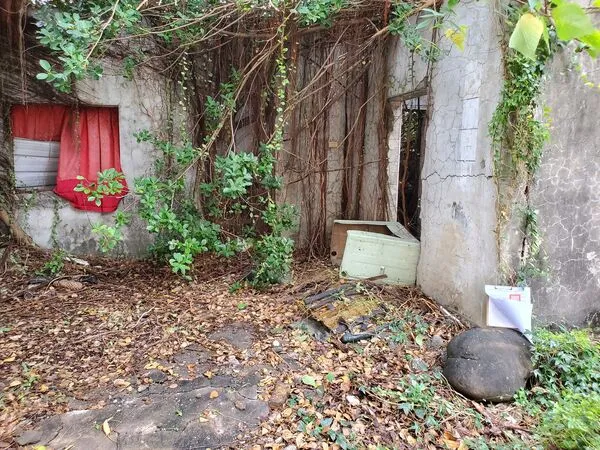 ▲▼             。（圖／記者張雅雲翻攝）