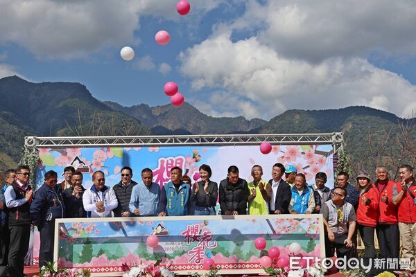 ▲最美茶鄉櫻花季登場，信義草坪頭4000棵櫻花迎賓。（圖／南投縣政府提供）