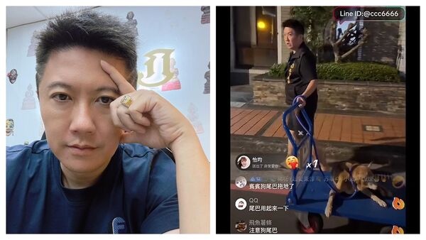 賓賓哥直播將流浪狗從醫院接回公司暫養的過程。（翻攝自臉書）