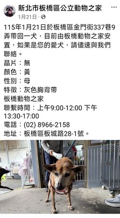 流浪狗被拾獲送往動物收容所。（翻攝自臉書）