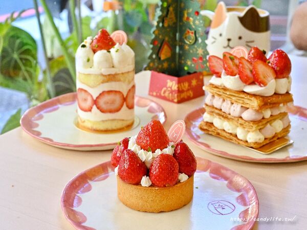 ▲▼隱身台中北區的貓咪中途餐廳。（圖／糖糖提供）