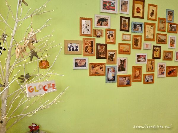 ▲▼隱身台中北區的貓咪中途餐廳。（圖／糖糖提供）