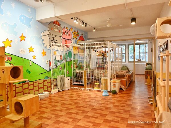 ▲▼隱身台中北區的貓咪中途餐廳。（圖／糖糖提供）