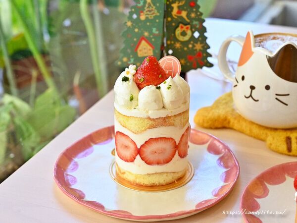 ▲▼隱身台中北區的貓咪中途餐廳。（圖／糖糖提供）